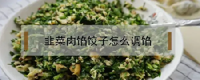 韭菜肉馅饺子怎么调馅