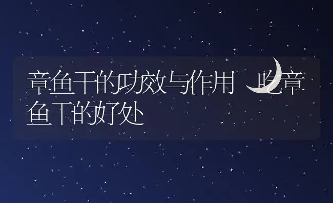 章鱼干的功效与作用 吃章鱼干的好处 | 养殖资料投稿