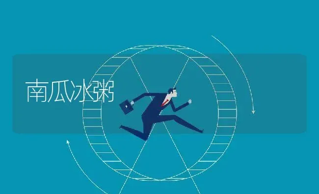 南瓜冰粥 | 养殖资讯