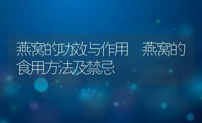 燕窝的功效与作用 燕窝的食用方法及禁忌 | 养殖资料投稿