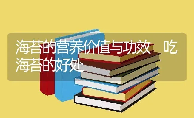 海苔的营养价值与功效 吃海苔的好处 | 养殖资料投稿