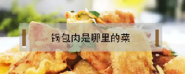 锅包肉是哪里的菜