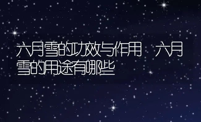 六月雪的功效与作用 六月雪的用途有哪些 | 养殖资料投稿