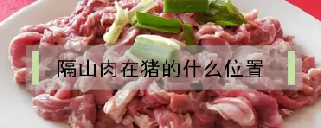 隔山肉在猪的什么位置