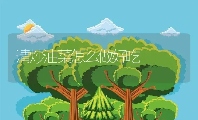 清炒油菜怎么做好吃 | 养殖资料投稿