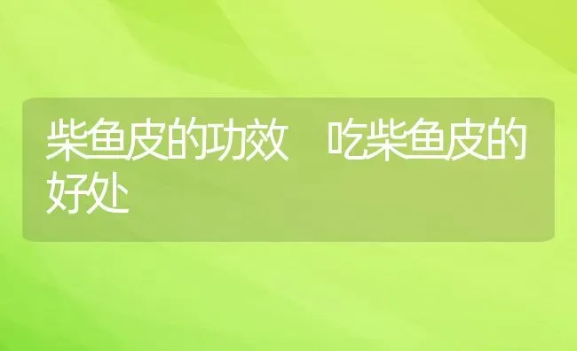 柴鱼皮的功效 吃柴鱼皮的好处 | 养殖资料投稿