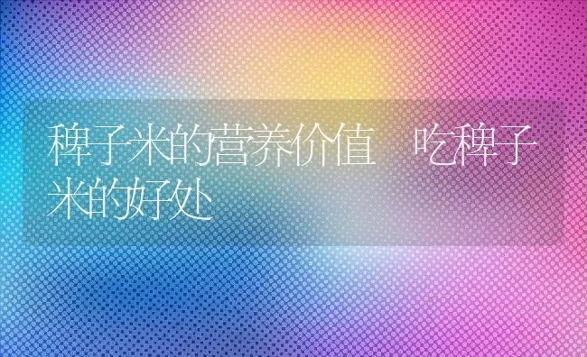 稗子米的营养价值 吃稗子米的好处 | 养殖资讯