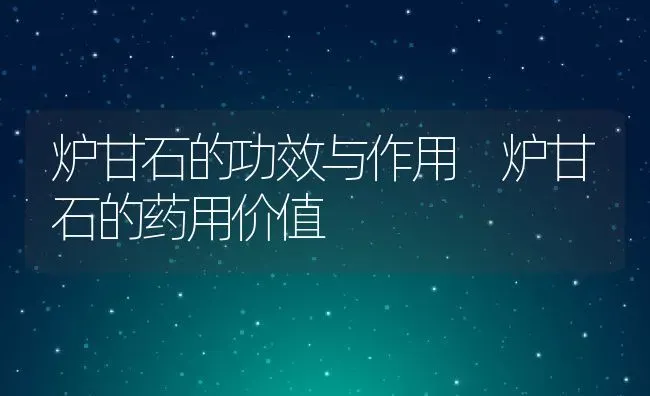 炉甘石的功效与作用 炉甘石的药用价值 | 养殖资料投稿