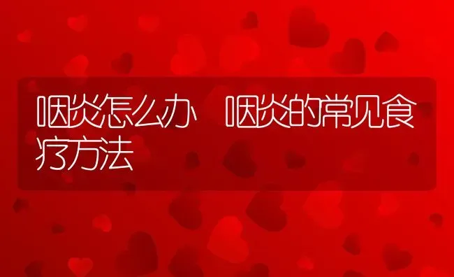 咽炎怎么办 咽炎的常见食疗方法 | 养殖资料投稿