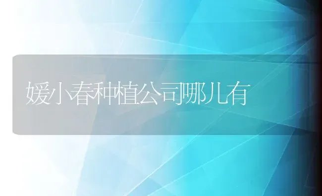 媛小春种植公司哪儿有 | 养殖资讯