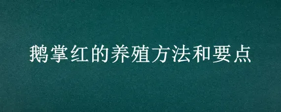 鹅掌红的养殖方法和要点