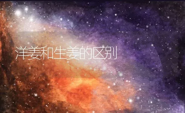 洋姜和生姜的区别 | 养殖资料投稿