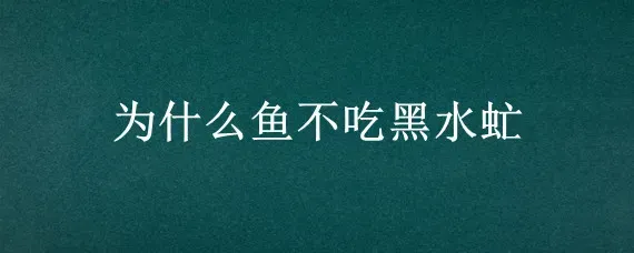 为什么鱼不吃黑水虻