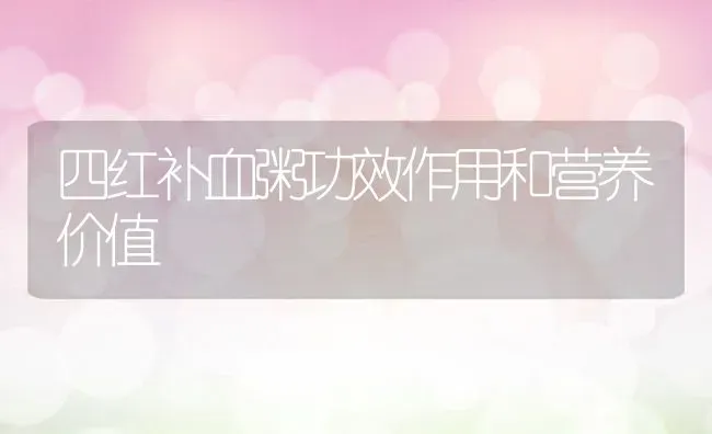 四红补血粥功效作用和营养价值 | 养殖资讯