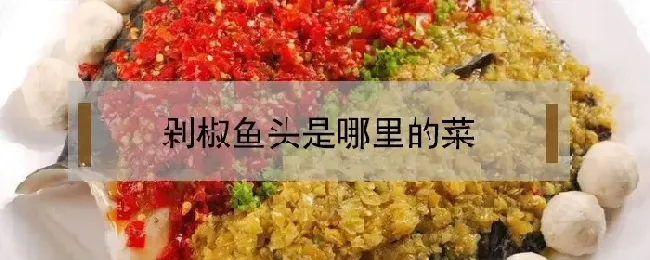 剁椒鱼头是哪里的菜