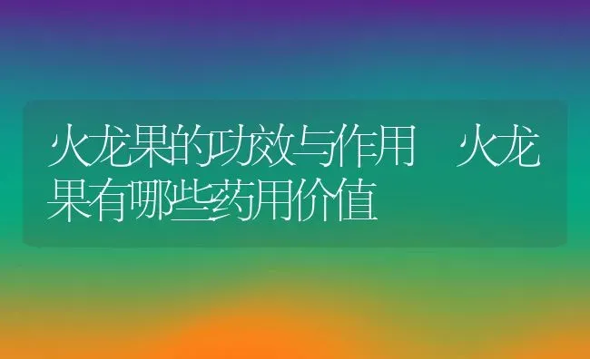 火龙果的功效与作用 火龙果有哪些药用价值 | 养殖资料投稿