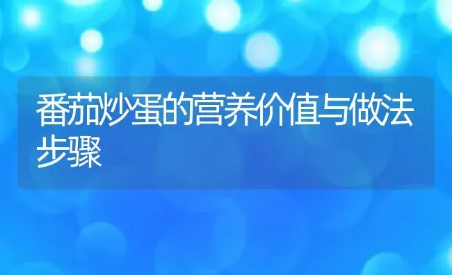 番茄炒蛋的营养价值与做法步骤 | 养殖资料投稿