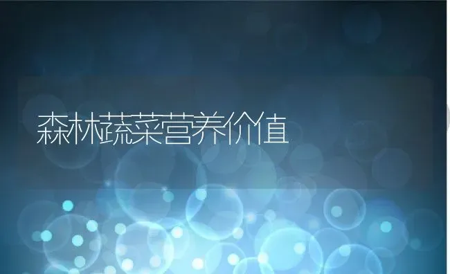 森林蔬菜营养价值 | 养殖资讯