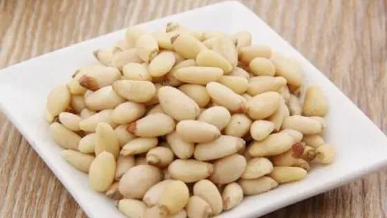 松子仁的功效与作用及禁忌