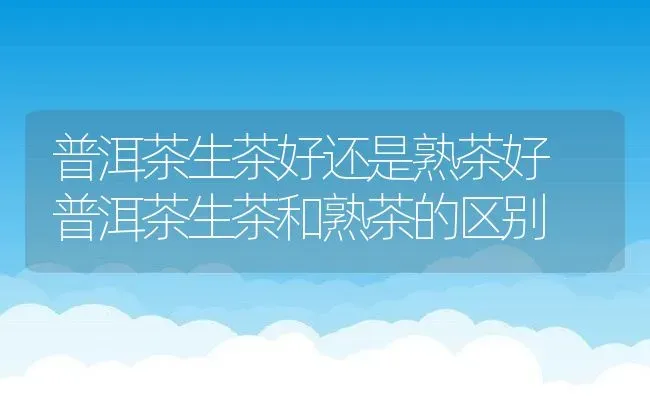 普洱茶生茶好还是熟茶好 普洱茶生茶和熟茶的区别 | 养殖资料投稿