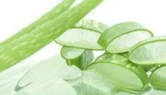 芦荟胶怎么用 芦荟胶的正确用法