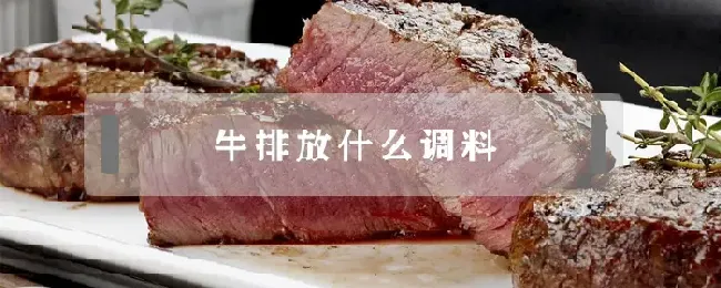 牛排放什么调料
