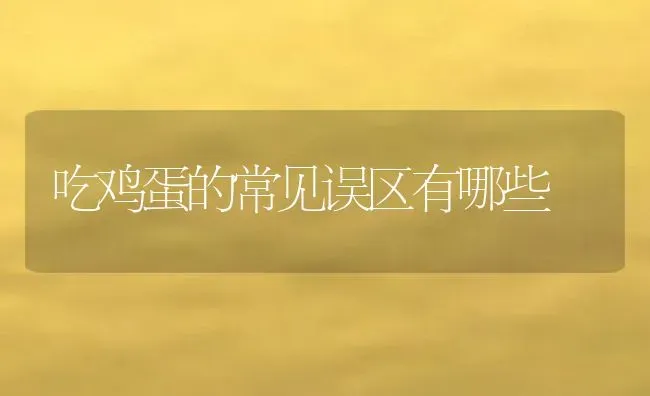 吃鸡蛋的常见误区有哪些 | 养殖资料投稿