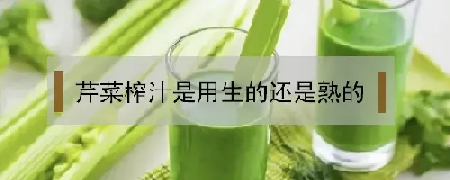 芹菜榨汁是用生的还是熟的