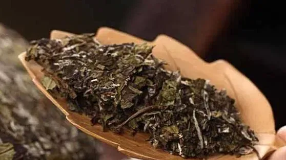 老白茶怎么储存长久