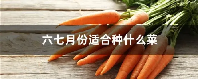 六七月份适合种什么菜