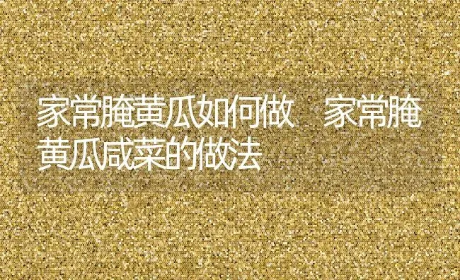 红毛丹的功效与作用 吃红毛丹的好处 | 养殖资料投稿