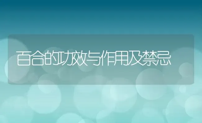 百合的功效与作用及禁忌 | 养殖资料投稿