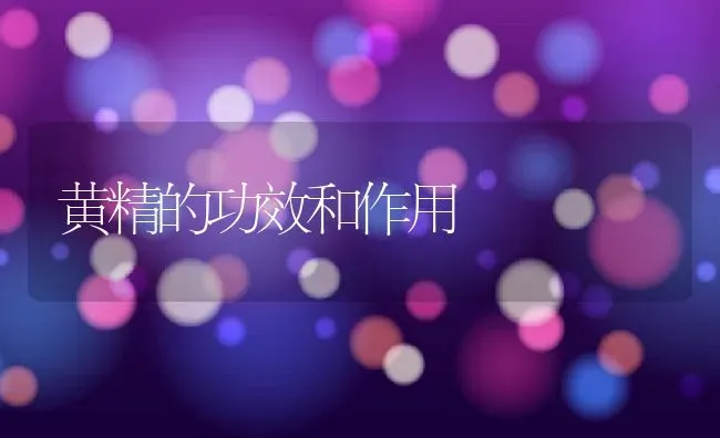 黄精的功效和作用 | 养殖资料投稿