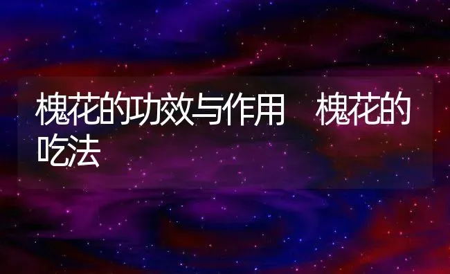 槐花的功效与作用 槐花的吃法 | 养殖资料投稿