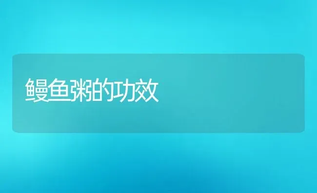 鳗鱼粥的功效 | 养殖资料投稿