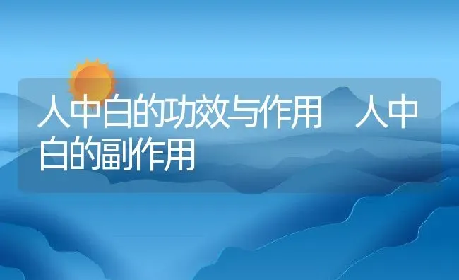 人中白的功效与作用 人中白的副作用 | 养殖资料投稿