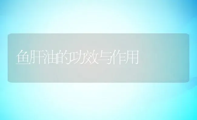 鱼肝油的功效与作用 | 养殖资料投稿