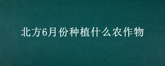北方6月份种植什么农作物