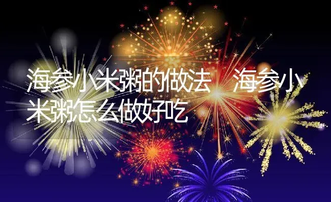 海参小米粥的做法 海参小米粥怎么做好吃 | 养殖资讯