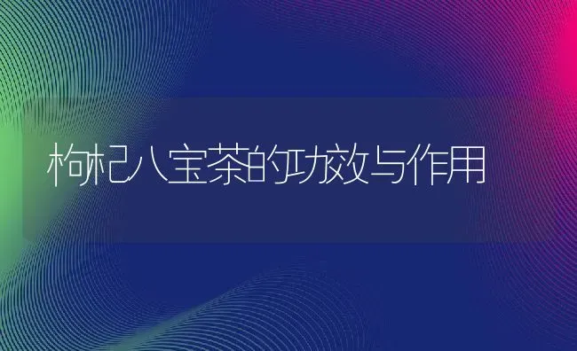 枸杞八宝茶的功效与作用 | 养殖资料投稿