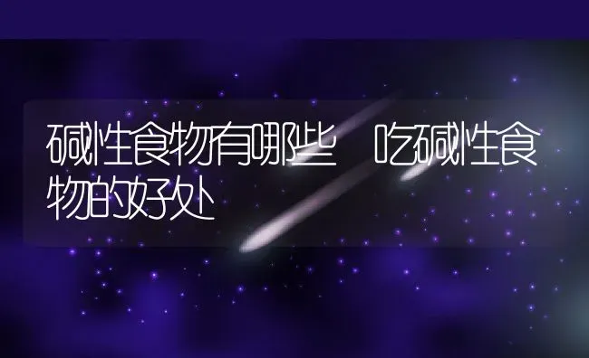 碱性食物有哪些 吃碱性食物的好处 | 养殖资料投稿
