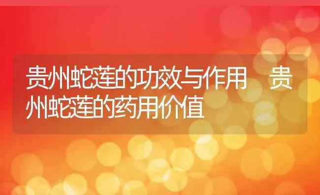 贵州蛇莲的功效与作用 贵州蛇莲的药用价值 | 养殖资料投稿
