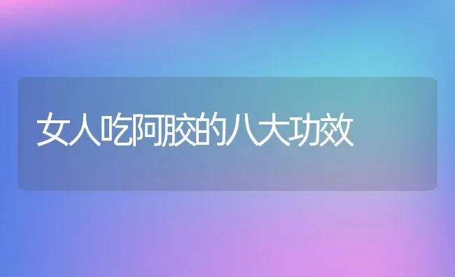 女人吃阿胶的八大功效 | 养殖资料投稿