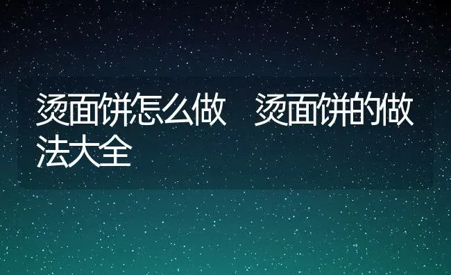 烫面饼怎么做 烫面饼的做法大全 | 养殖资讯