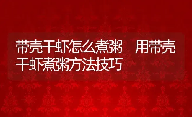 带壳干虾怎么煮粥 用带壳干虾煮粥方法技巧 | 养殖资讯