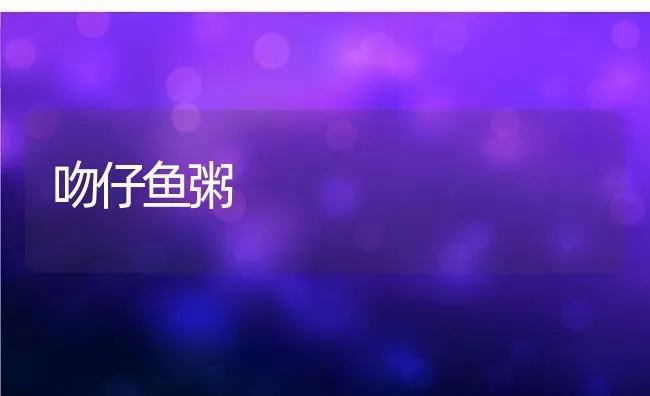 吻仔鱼粥 | 养殖资料投稿