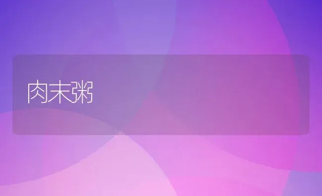 肉末粥 | 养殖资讯