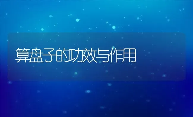 算盘子的功效与作用 | 养殖资料投稿