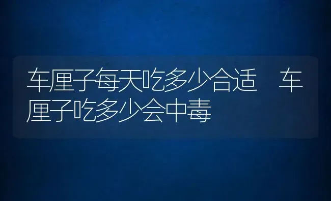 车厘子每天吃多少合适 车厘子吃多少会中毒 | 养殖资料投稿