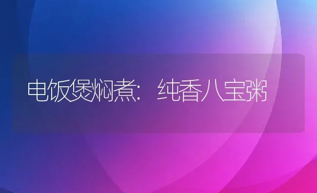 电饭煲焖煮:纯香八宝粥 | 养殖资讯